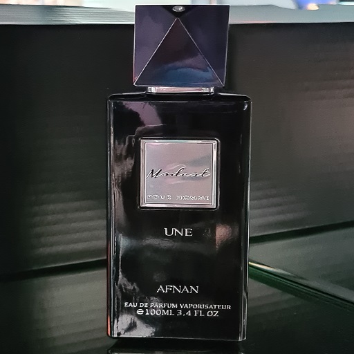 afnan modest pour homme